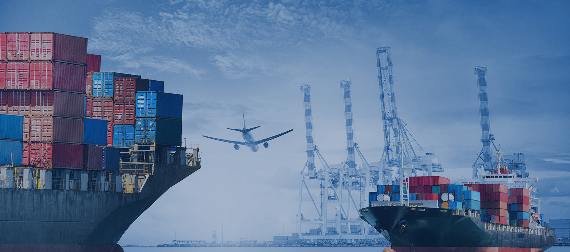Entreprise multinationale intégrée d'importation et d'exportation